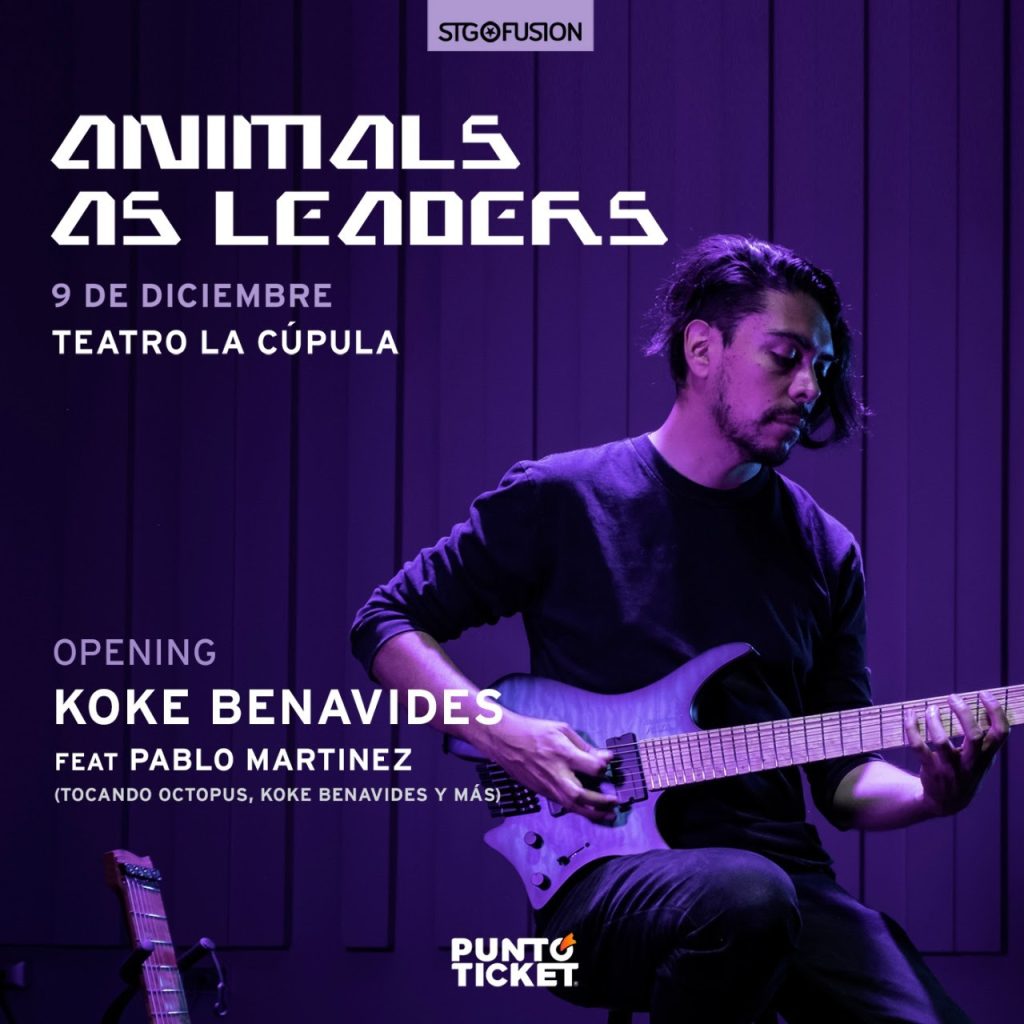 Animals as leaders